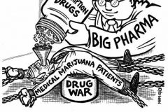 Big-pharma-mmj