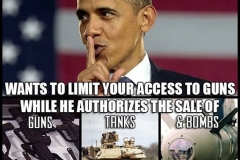 Obama-gun-control