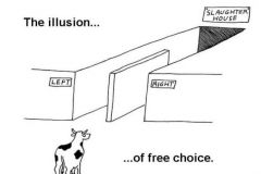 The-illusion-of-free-choice