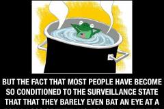 boiling-frogs-surveillance-meme