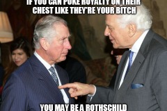 rothschild-pokes-royalty-meme