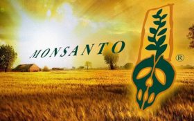 Monsanto