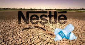 Nestlé