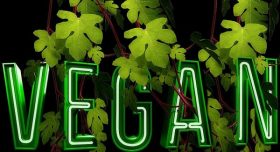 vegan