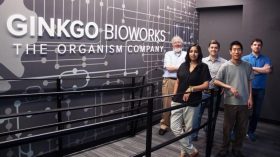 Ginkgo Bioworks