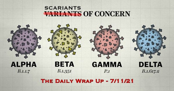 The Daily Wrap Up
