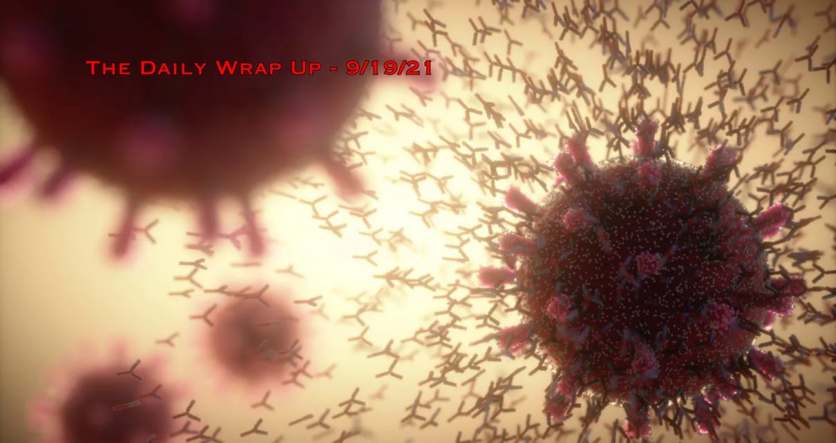 The Daily Wrap Up