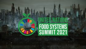 UN Food Systems Summit