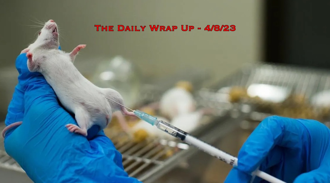 The Daily Wrap Up