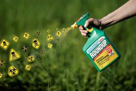 glyphosate