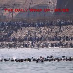 Spain’s Weaponized/Engineered Migration, Trump Flounders In Iran & The Coming Third Party Deception