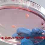 Biotech